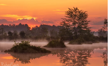 Photographing the Pine Barrens with Richard Lewis