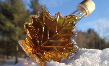 Maple Sugaring at Lake Rickabear Camp