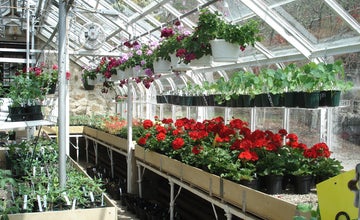 Fall Plant Sale at NJ Botanical Garden