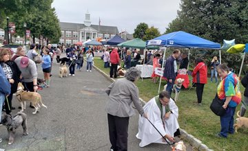 A Celebration of Pets at the Verona Town Hall Center