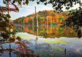 Long Pond Ironworks State Park