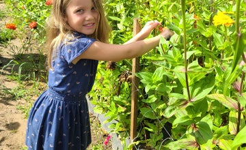 Read & Pick: Flowers at Terhune Orchards