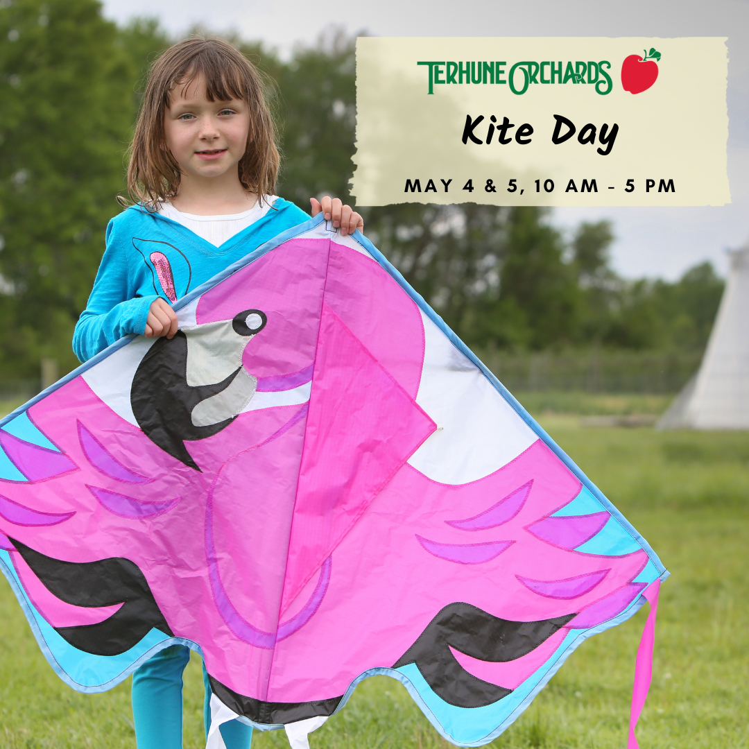 Kite Day at Terhune Orchards | NJ Kids