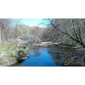 Saddle River County Park - Wild Duck Pond Area