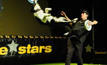The Canine Stars Stunt Dog Show