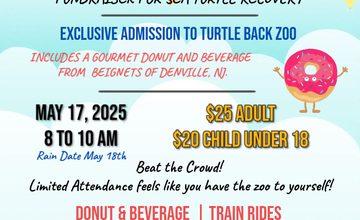 Sea Turtle Sunrise Event 2025