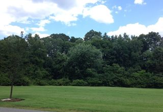 Saddle River County Park - Rochelle Park Area