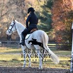 Seaton Hackney Stables Summer Camp and Horseback Riding Programs