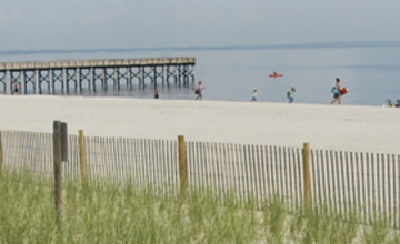 FREE-Bayshore Waterfront Park in Port Monmouth Hands-On Nature Program