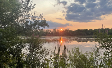 Evening Walk for Young Adults at Roebling Park
