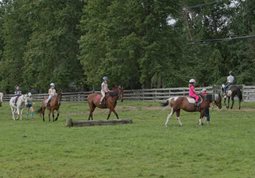 Seaton Hackney Stables Summer Camp and Horseback Riding Programs