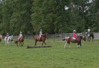 Seaton Hackney Stables Summer Camp and Horseback Riding Programs