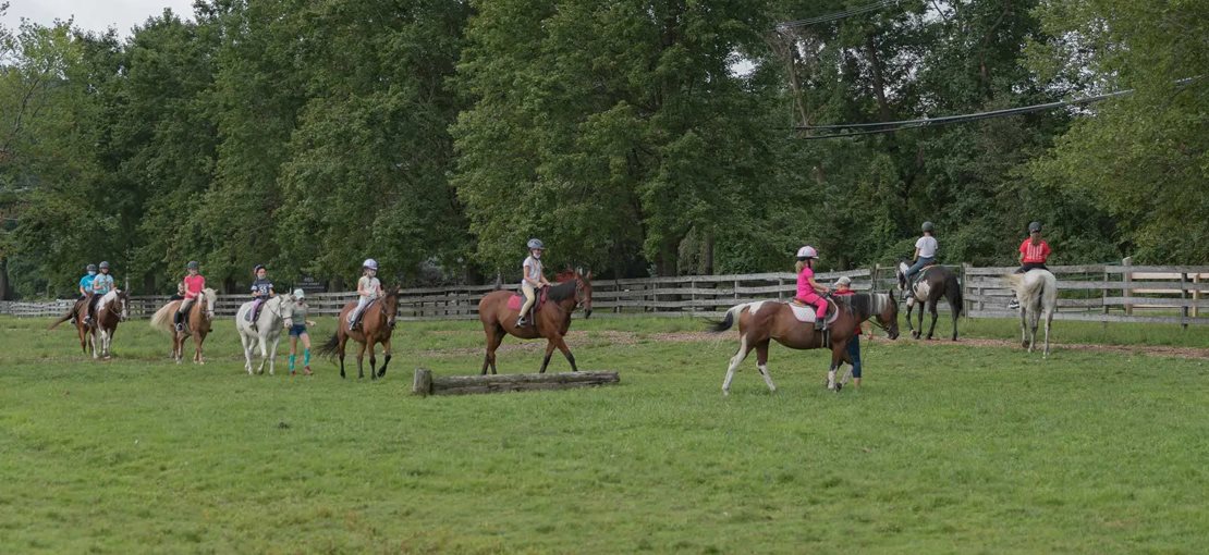 Seaton Hackney Stables ... Horseback Riding Camp