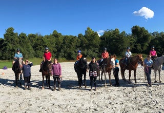 Equine Tranquility Wellness Center - Therapeutic Horseback Riding