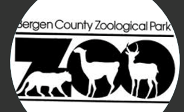 Bergen County Zoo Wild and Crafty Animal Tales at Washington Township Library