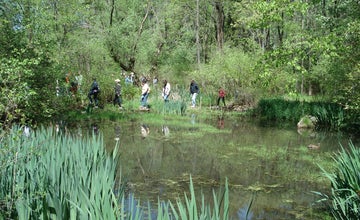 Family Woodland Hike at NJ Botanical Garden