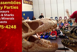 Dinosaurs Rock, Gems, Insects & Oceans Rock School Assemblies