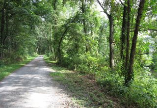 Bull's Island Recreation Area