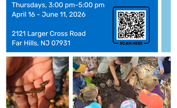 Fairview Farm Wildlife Preserve