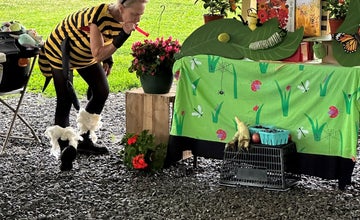Monarchs, Swallowtails and Honeybees – Oh My!