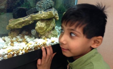 Meet our Animal Ambassadors at Tulpehaking Nature Center