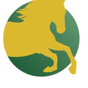 Bergen Equestrian Center - Horse Back Riding Camp