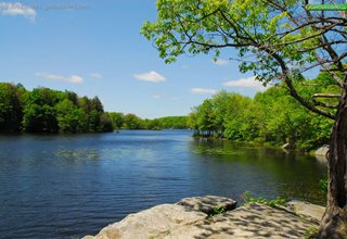 Wawayanda State Park