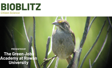 🌿 BioBlitz