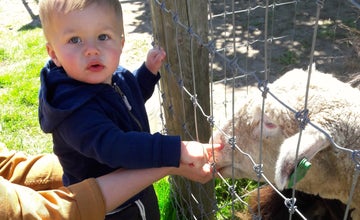 Read & Pick: Farm Animals at Terhune Orchards