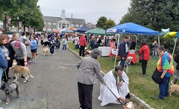 A Celebration of Pets in Verona