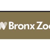 Wildlife Summer Camp with the Bronx Zoo