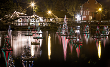 Holiday Light Show