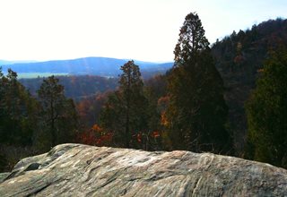 Jenny Jump State Forest