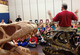 Dinosaurs Rock, Gems, Insects & Oceans Rock School Assemblies