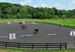 Seaton Hackney Stables Summer Camp and Horseback Riding Programs