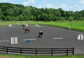 Seaton Hackney Stables Summer Camp and Horseback Riding Programs