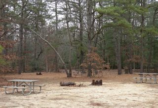 Belleplain State Forest