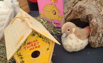 Read and Explore: Birds, Nesting and Birdhouses