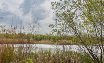 Exploration Life In a Fresh Water Pond