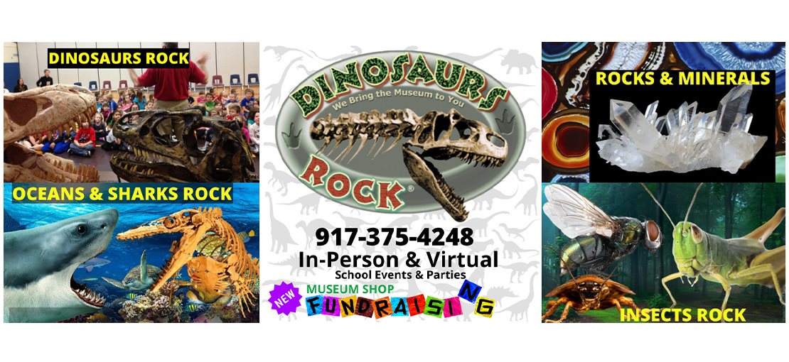 Dinosaurs Rock Assembly Programs