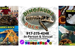 Dinosaurs Rock, Gems Rock & Oceans Rock School Assemblies