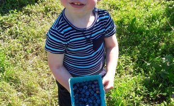 Read & Pick: Blueberries at Terhune Orchards