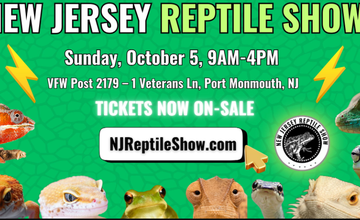 The New Jersey Reptile Show at VFW Post 2179