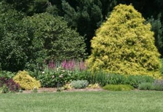 Gardens At Colonial Park