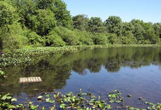 Great Swamp Outdoor Education Center