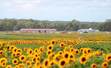 Field Trips at Holland Ridge Farms