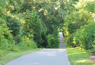 North Branch Greenway Park