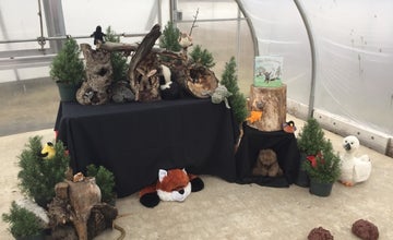 Read and Explore: Animal Tracks at Terhune Orchards