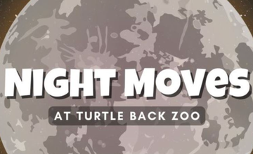 Night Moves @ Turtle Back Zoo