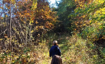 Nature Days at Prallsville Mill in Stockton!